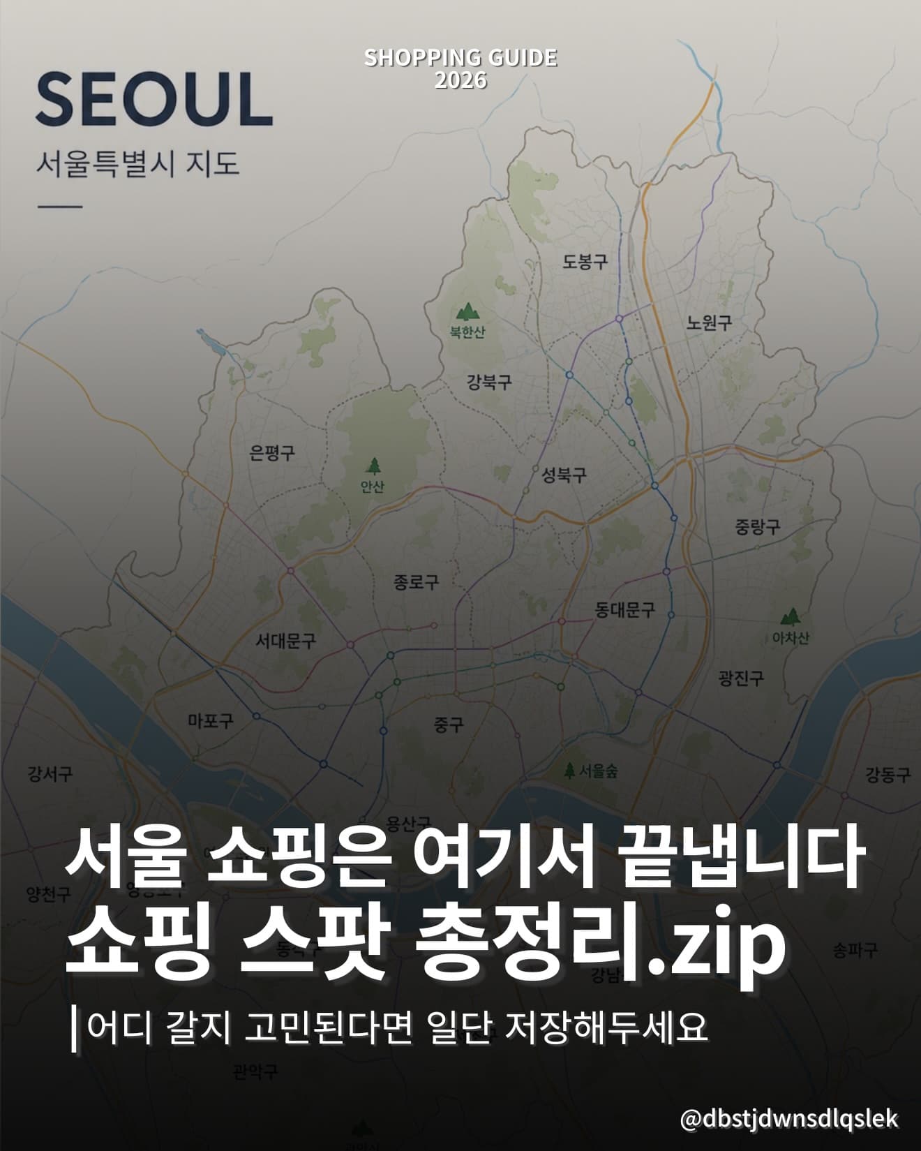 Seoul's Diverse Shopping Districts and Stores