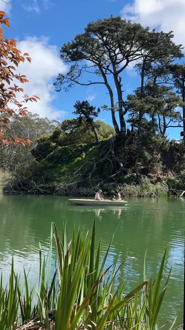 6 Parks in San Francisco