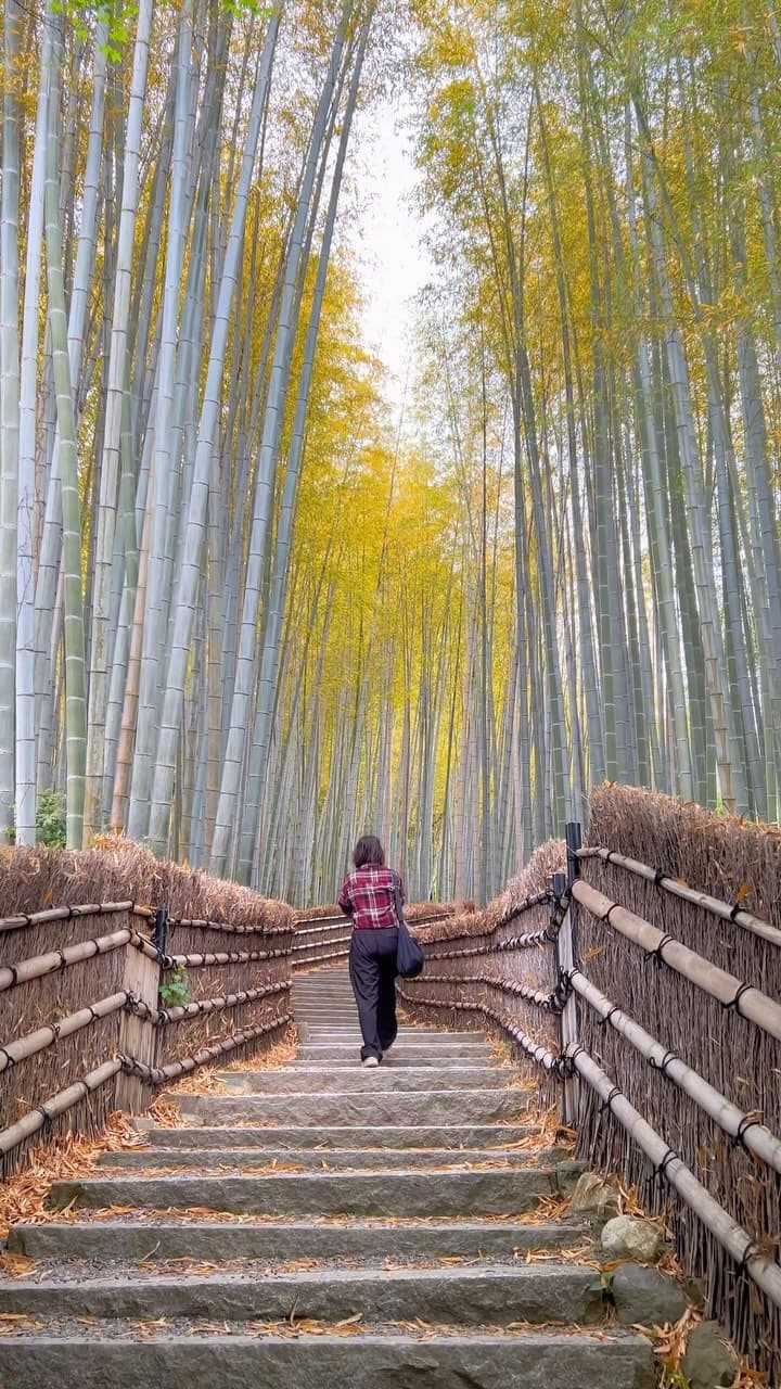 2 Attractions in Kyoto