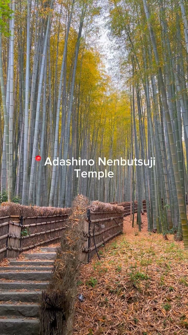2 Attractions in Kyoto