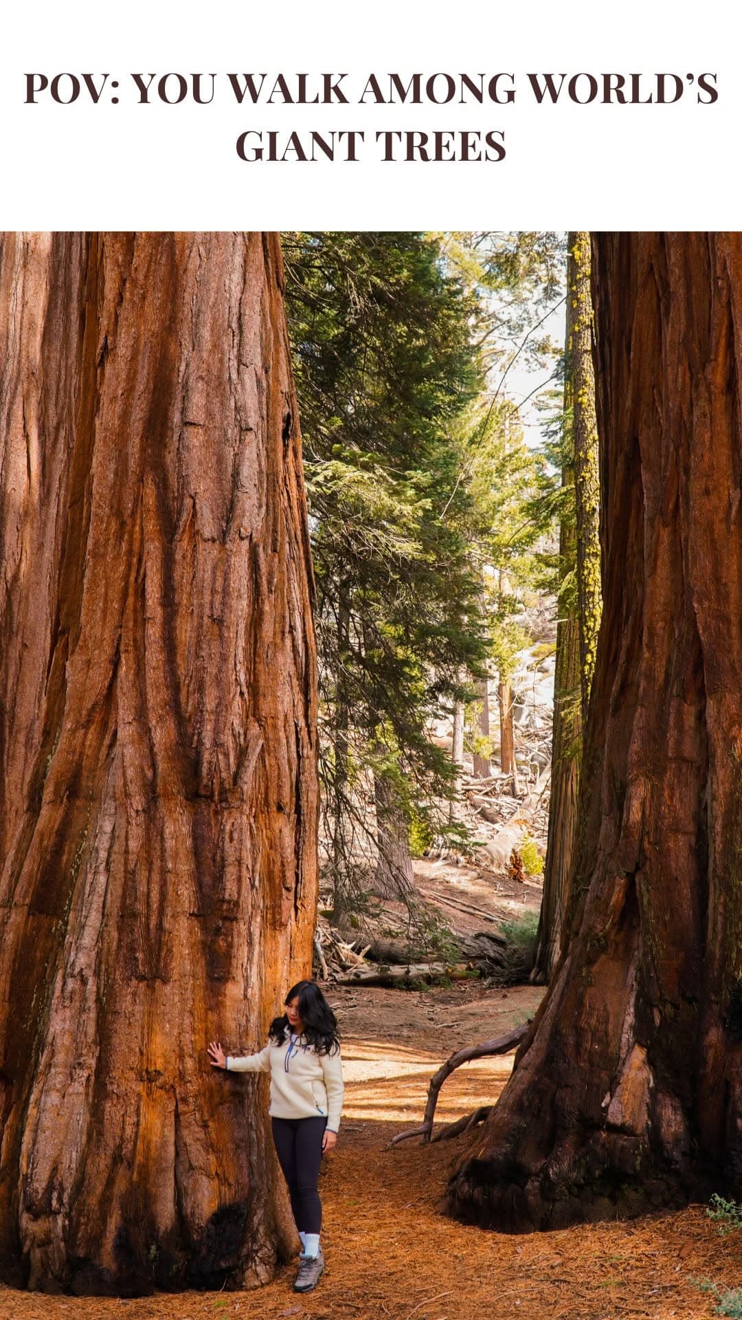 11 Places in California
