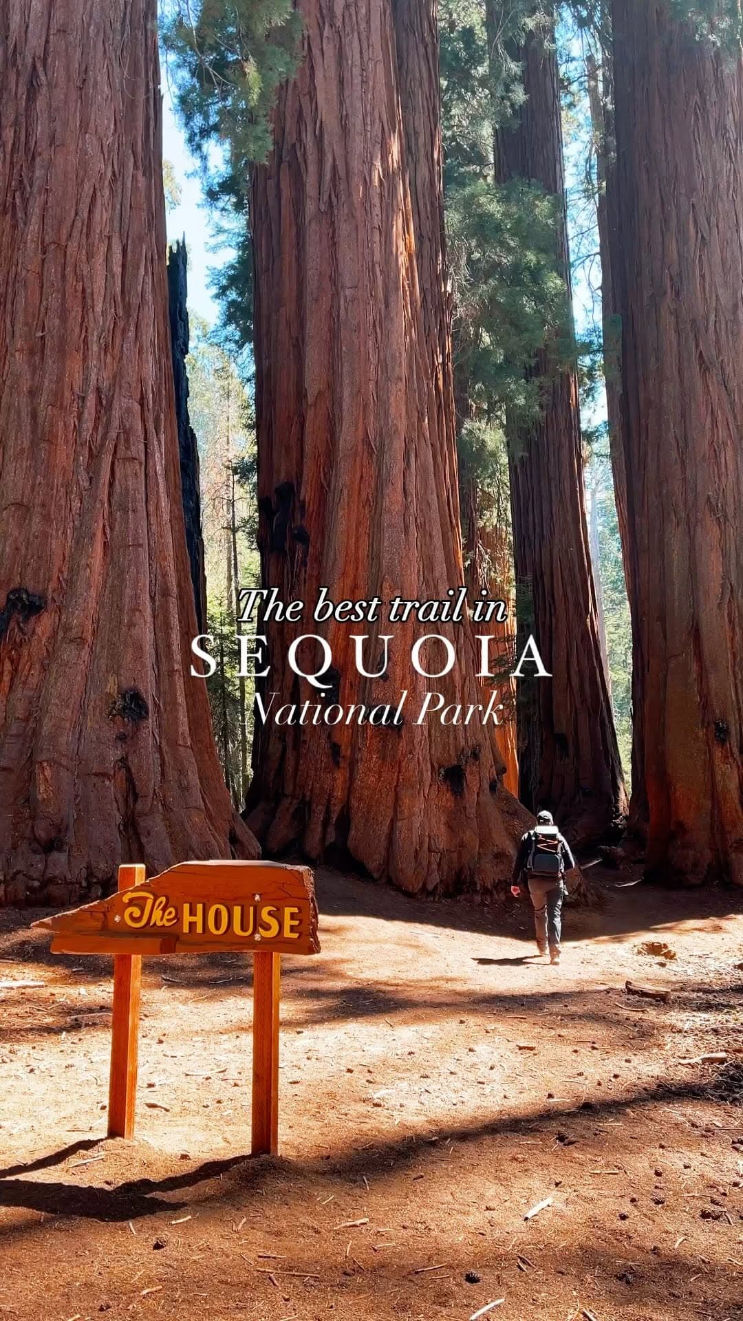 7 Attractions in California