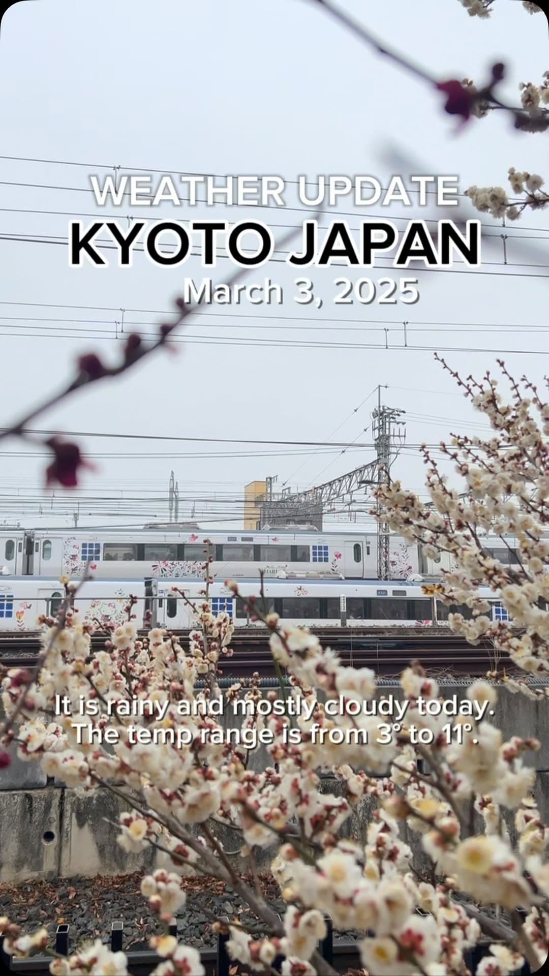 4 Landmarks in Kyoto