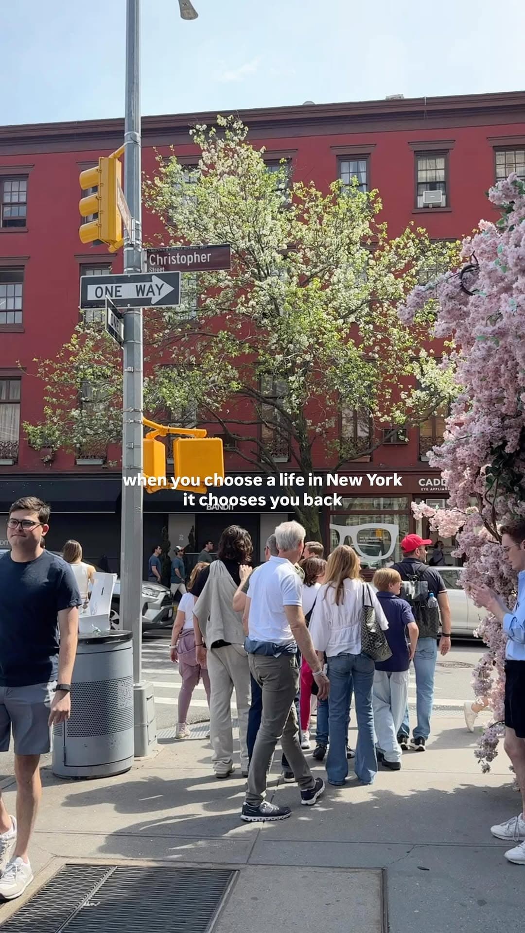 7 Places in New York