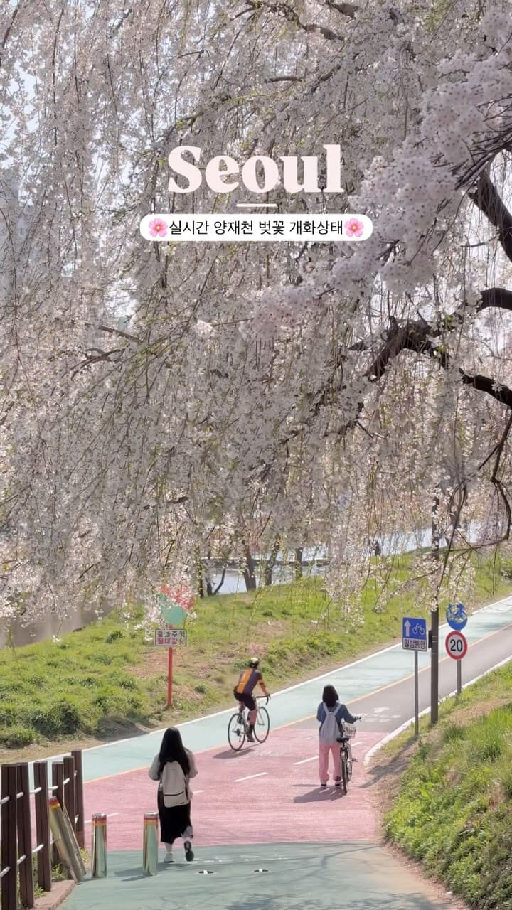 7 Places in Seoul