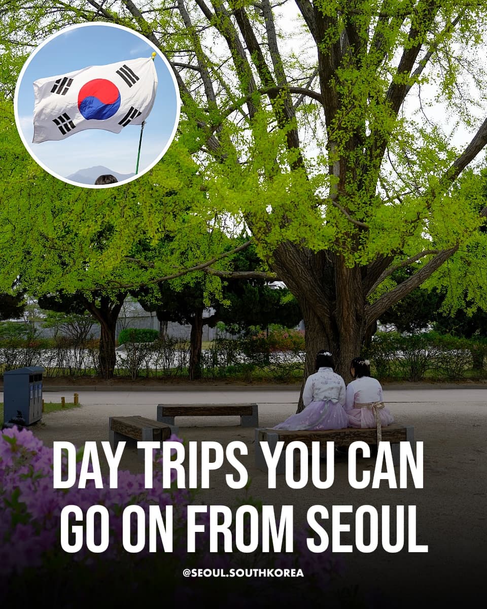 Day Trips From Seoul: Culture, Nature, and Fun