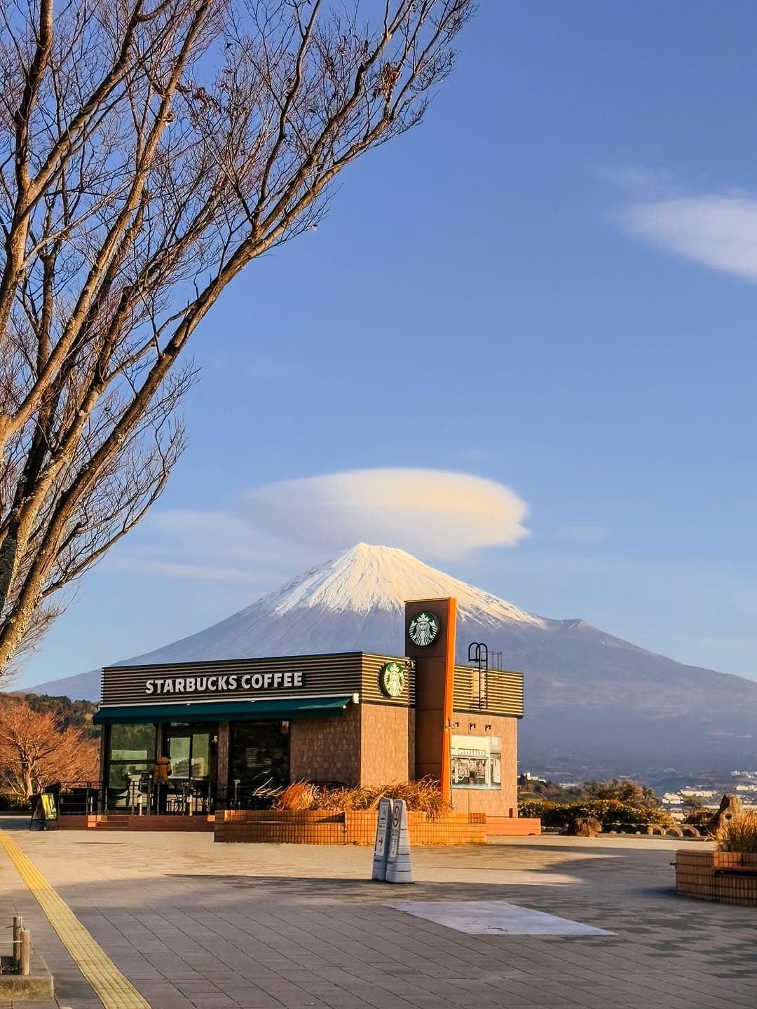 Starbucks With A View Of Mount Fuji