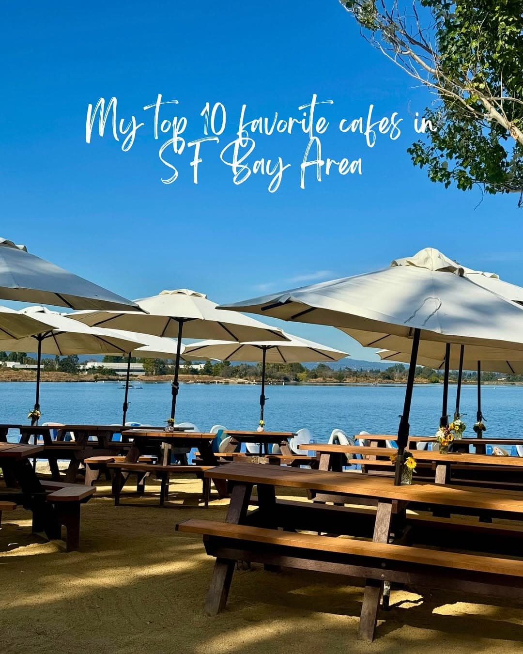 Top Bay Area Cafes With Great Coffee And Aesthetics