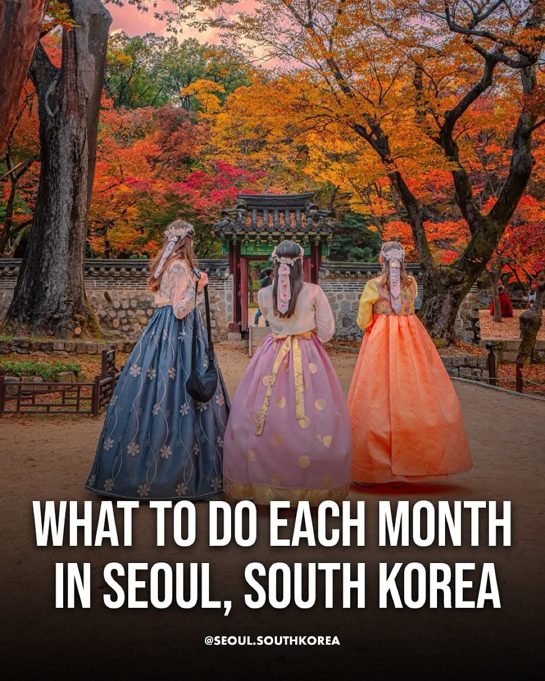 Seoul's Monthly Guide: Palaces, Parks, and City Experiences