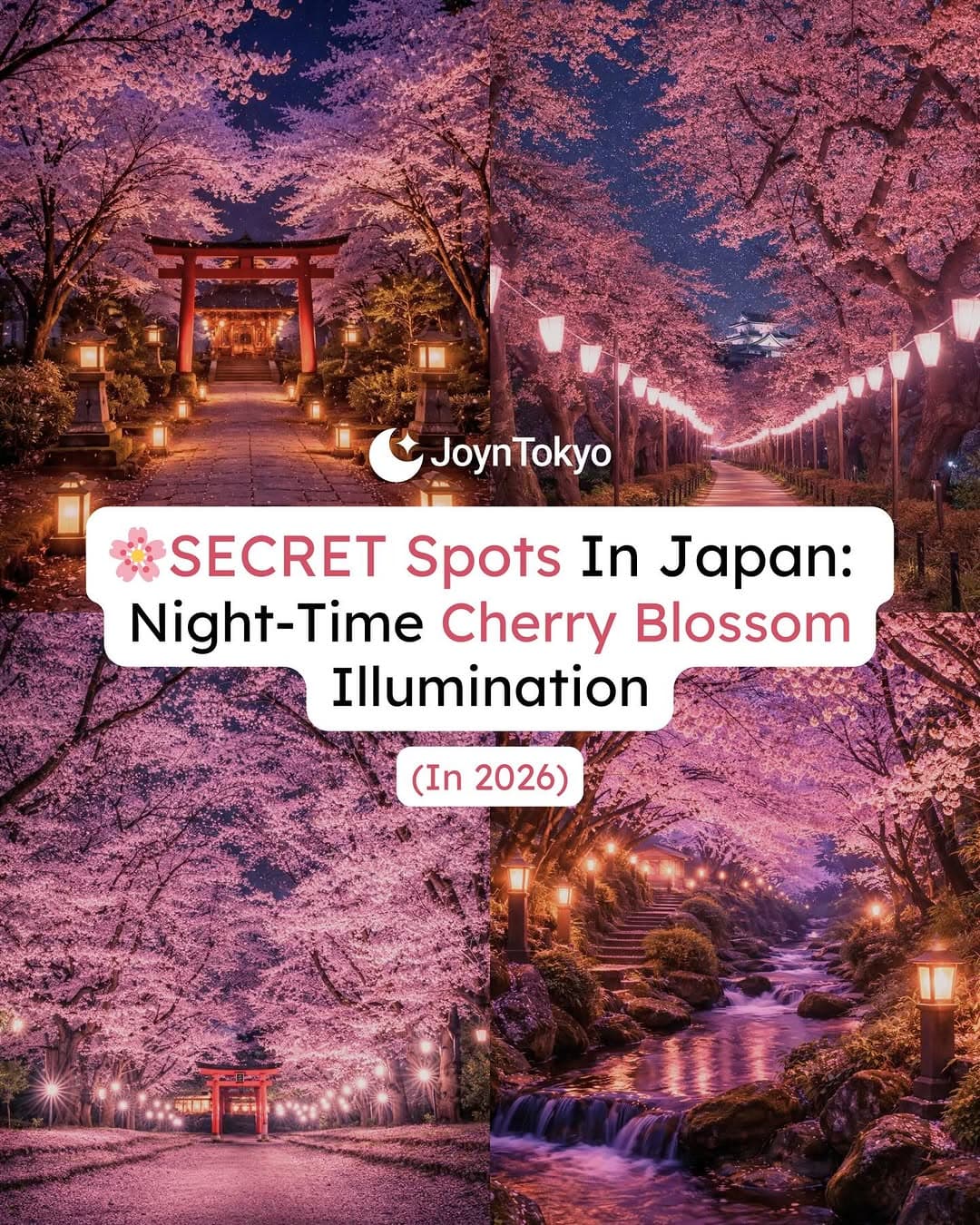 Magical Night Cherry Blossom Spots Across Japan