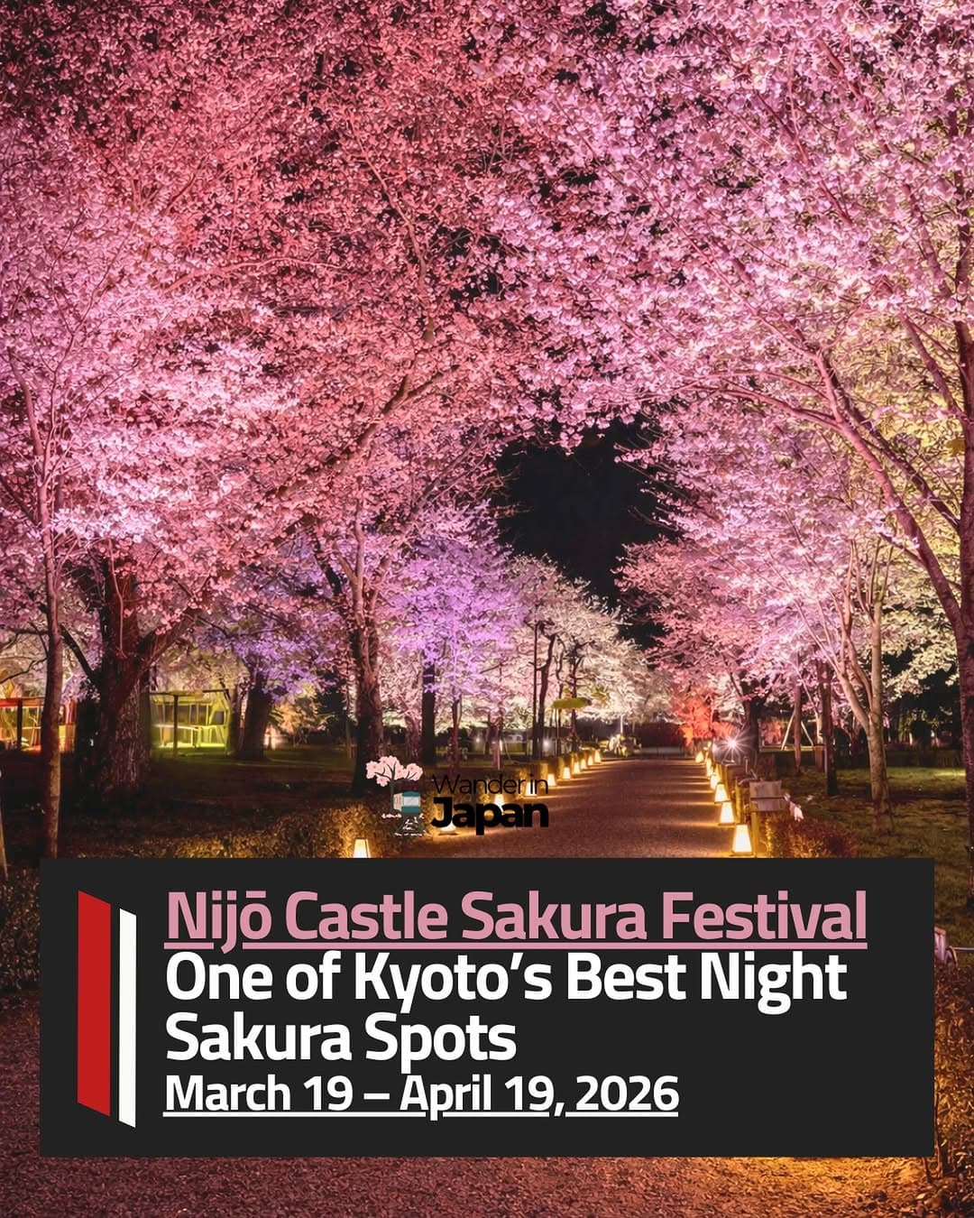 Nijō Castle Sakura Festival Night Illumination
