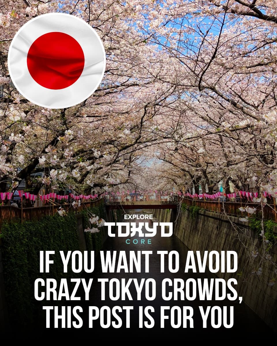 Tokyo's Secret Spots for Avoiding Crowds