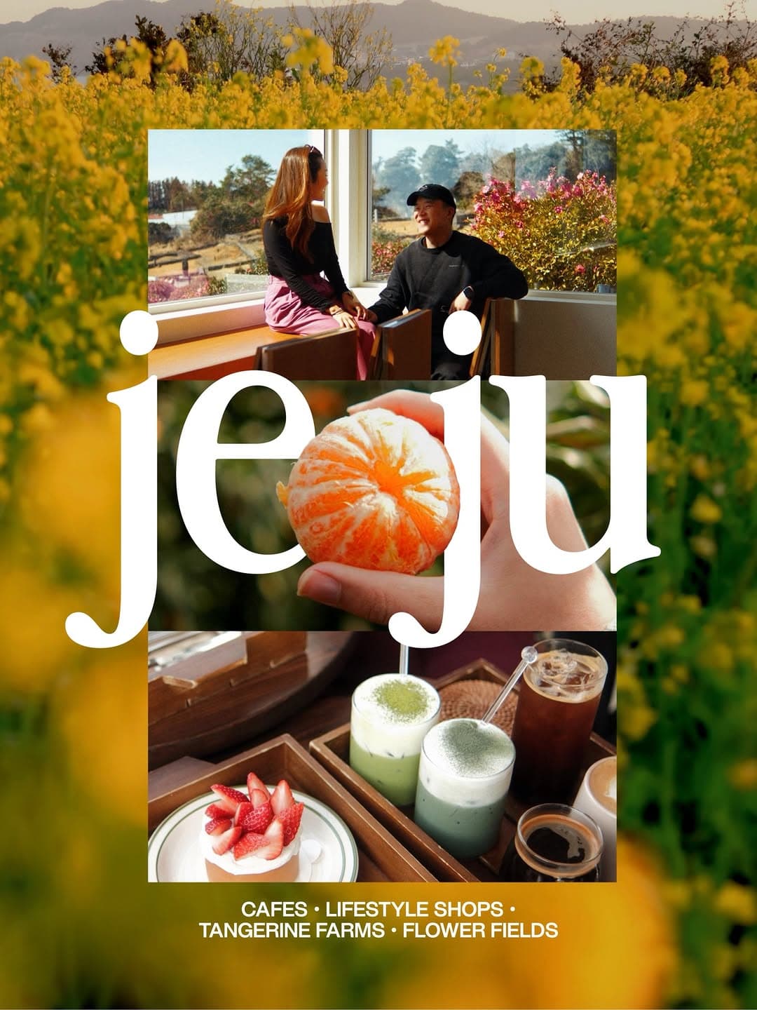 Jeju Spring Travel Guide: Cafes, Farms, and Shops