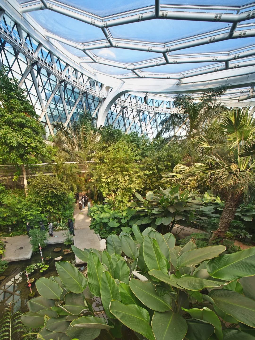 Seoul Botanic Park Offers Winter Greenery and Art