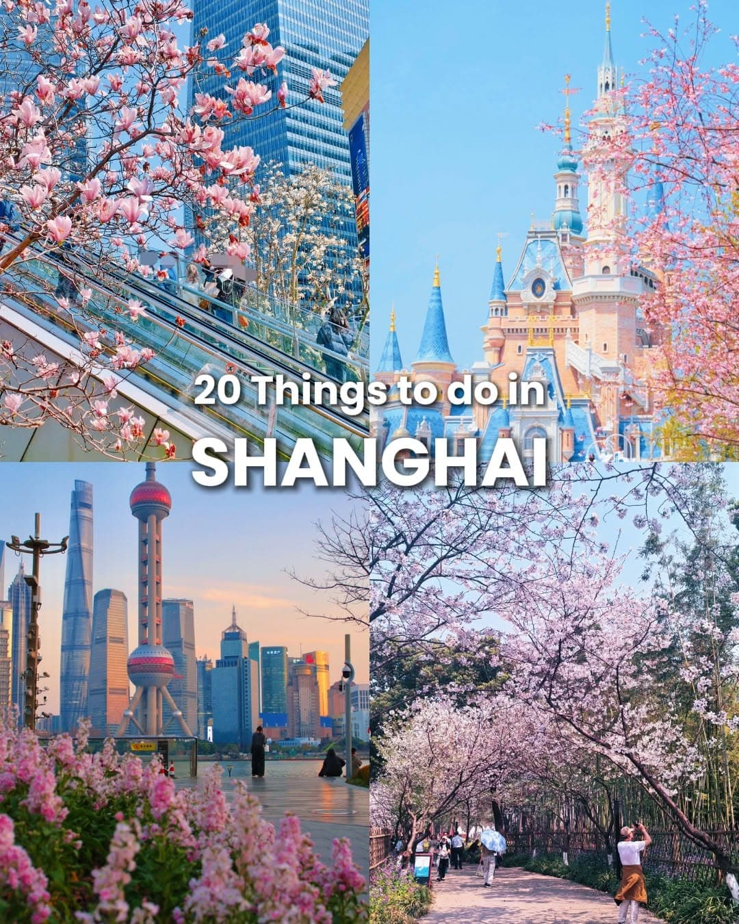 Shanghai's Iconic Skyscrapers, Gardens, and Streets
