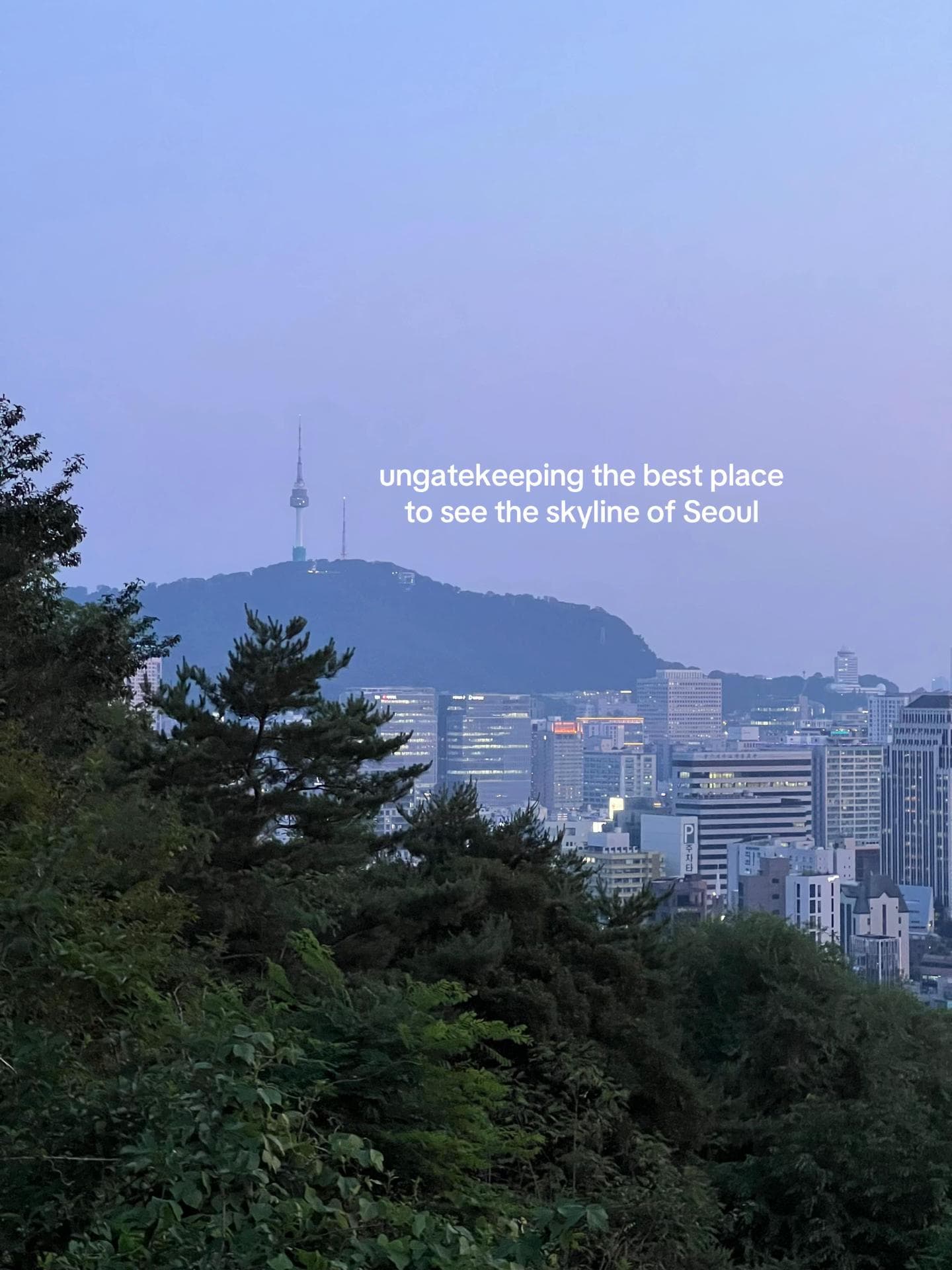 Seoul City Views From Parks and Towers