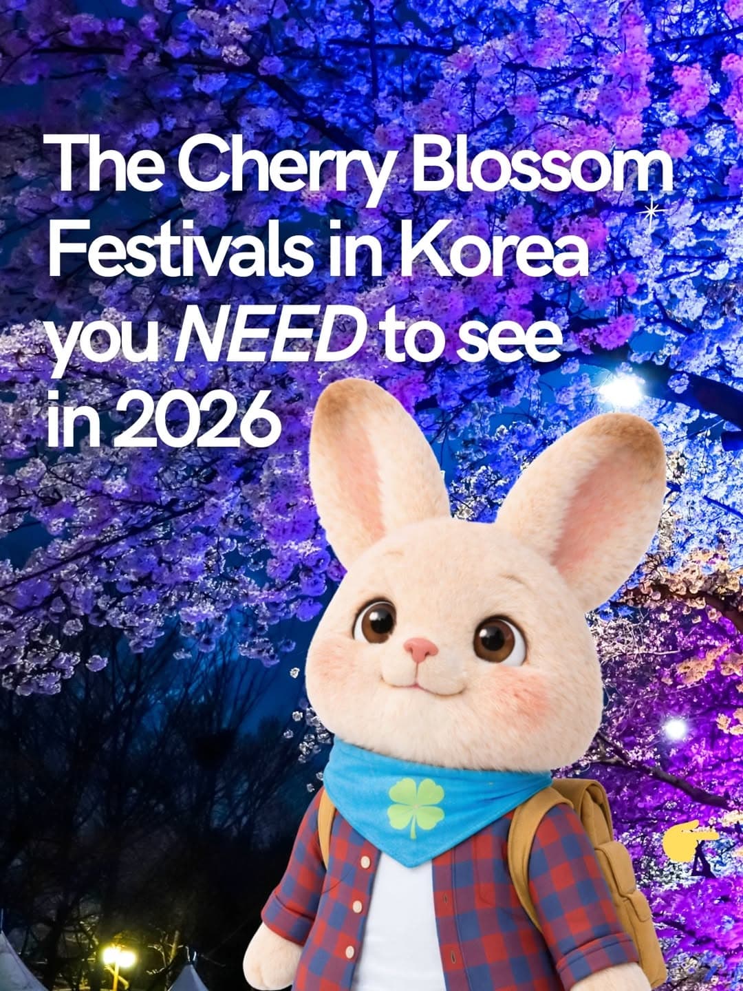 Korean Cherry Blossom Hotspots