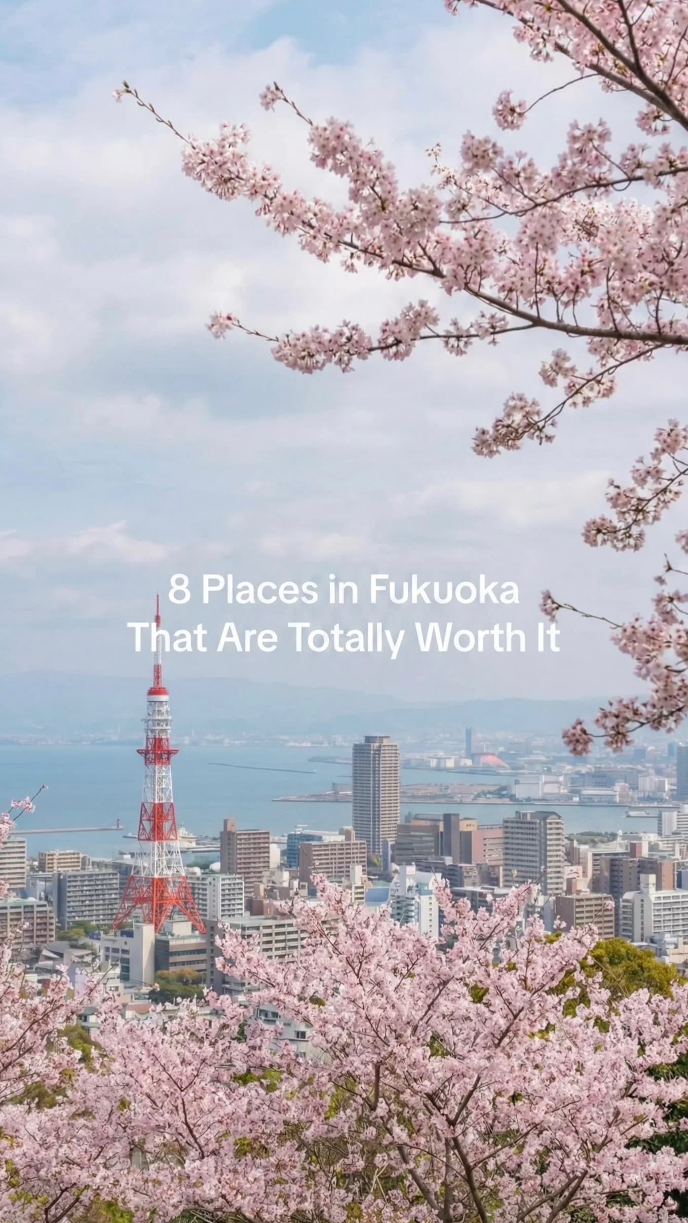 Fukuoka's Top 8 Must-Visit Attractions