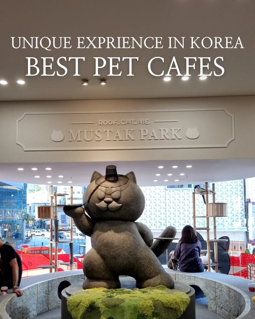 Seoul Animal Cafes: A Guide to Cute Companions
