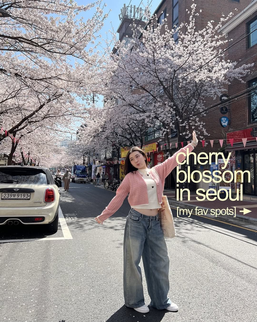 Seoul Cherry Blossom Hotspots Recap