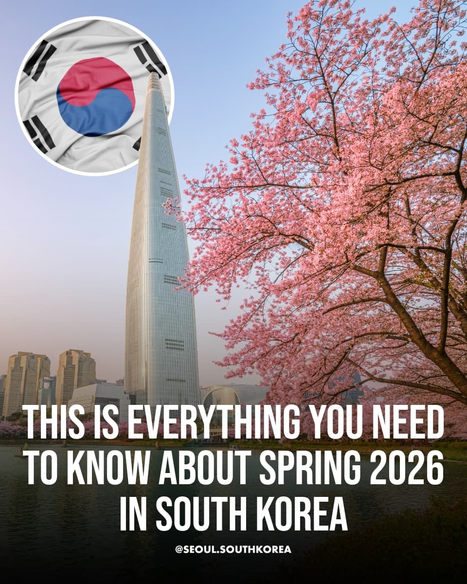 Springtime in South Korea's Top Destinations