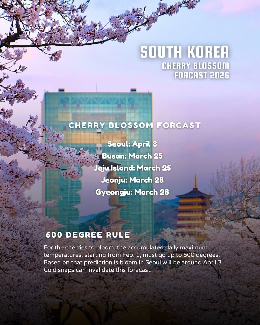 Cherry Blossoms Blooming Across South Korea