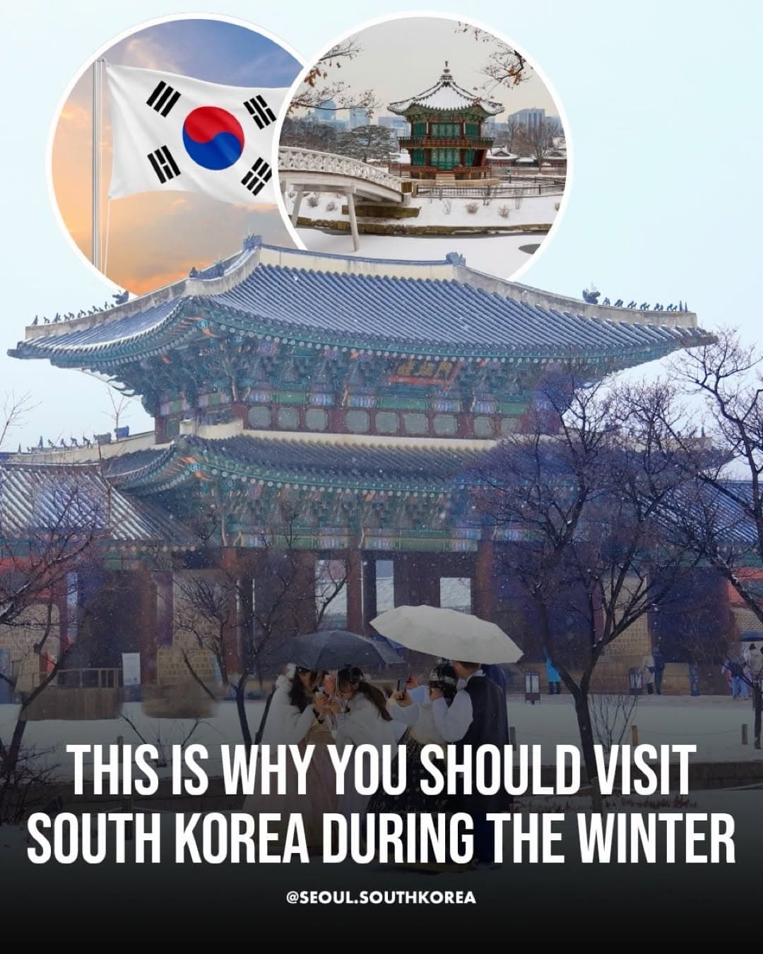 Winter Activities and Attractions in South Korea