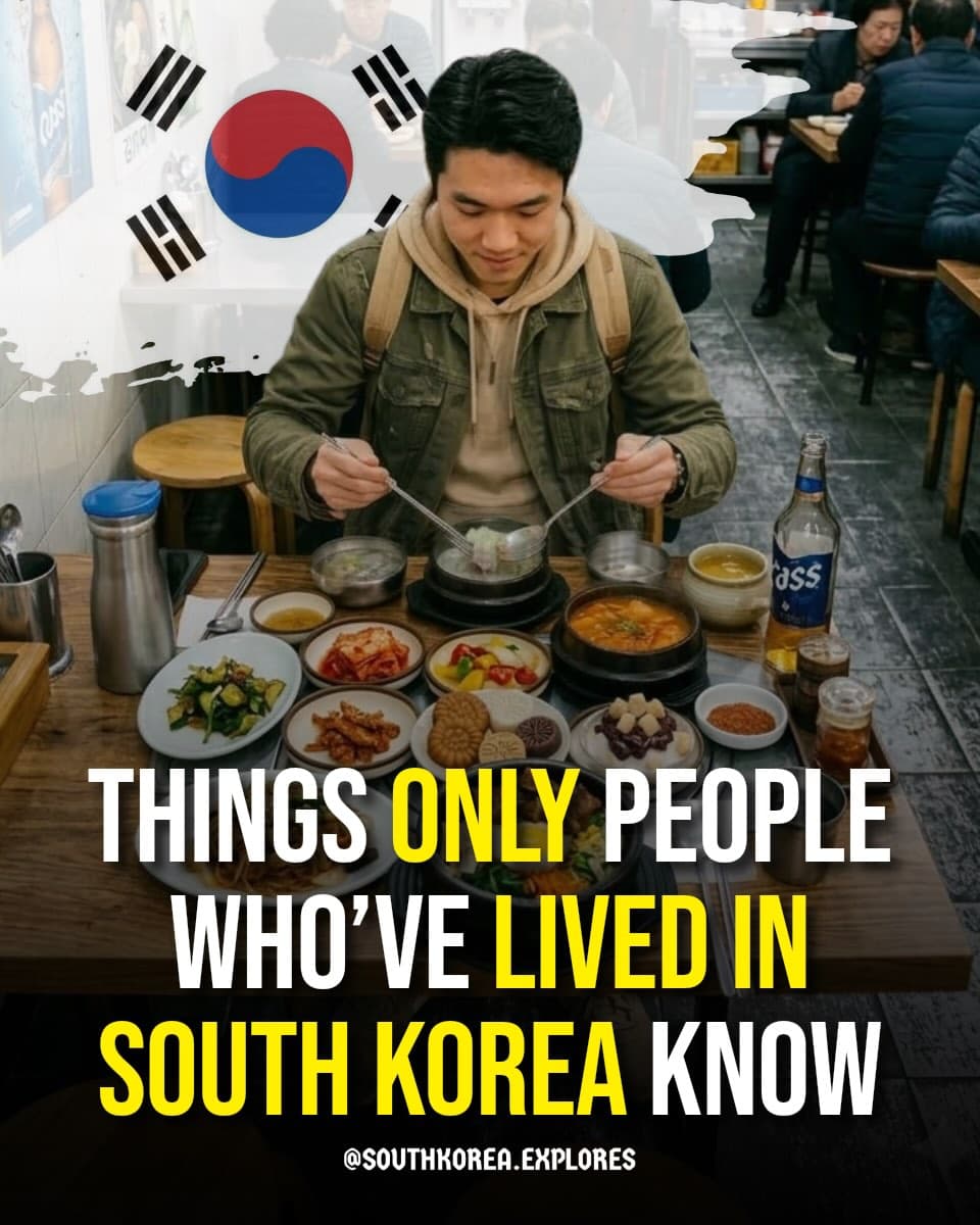 South Korea Life Experiences