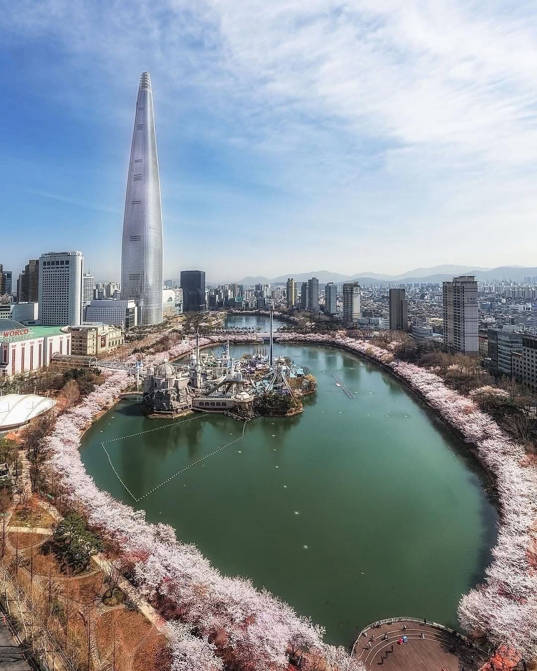 Springtime Beauty At Lotte World And Seokchon Lake