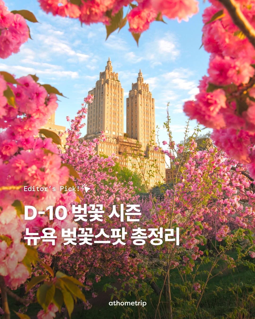 New York City's Best Cherry Blossom Viewing Spots
