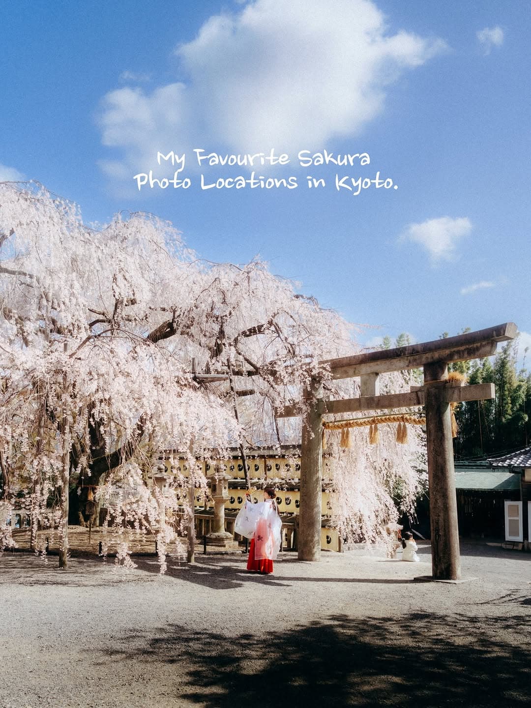 Kyoto's Top Six Sakura Photo Spots