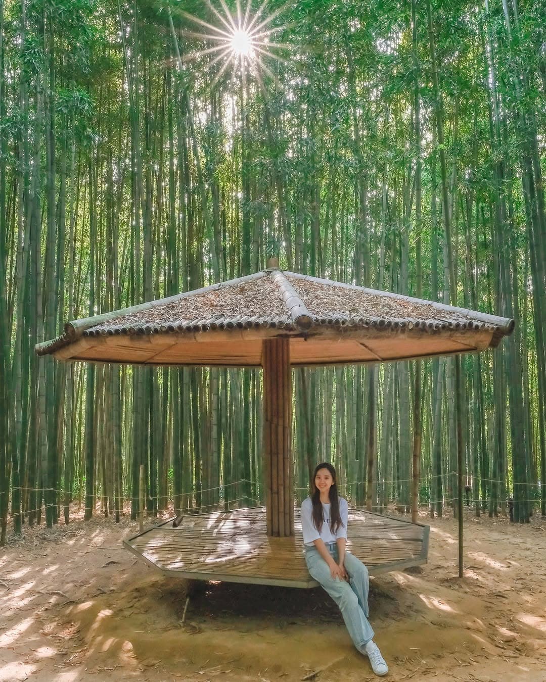 Damyang: A Green City of Hidden Treasures