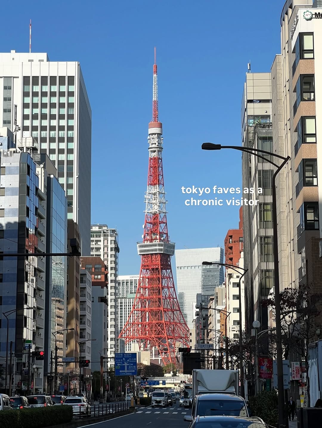 Tokyo's Best: Food, Views, and Temples