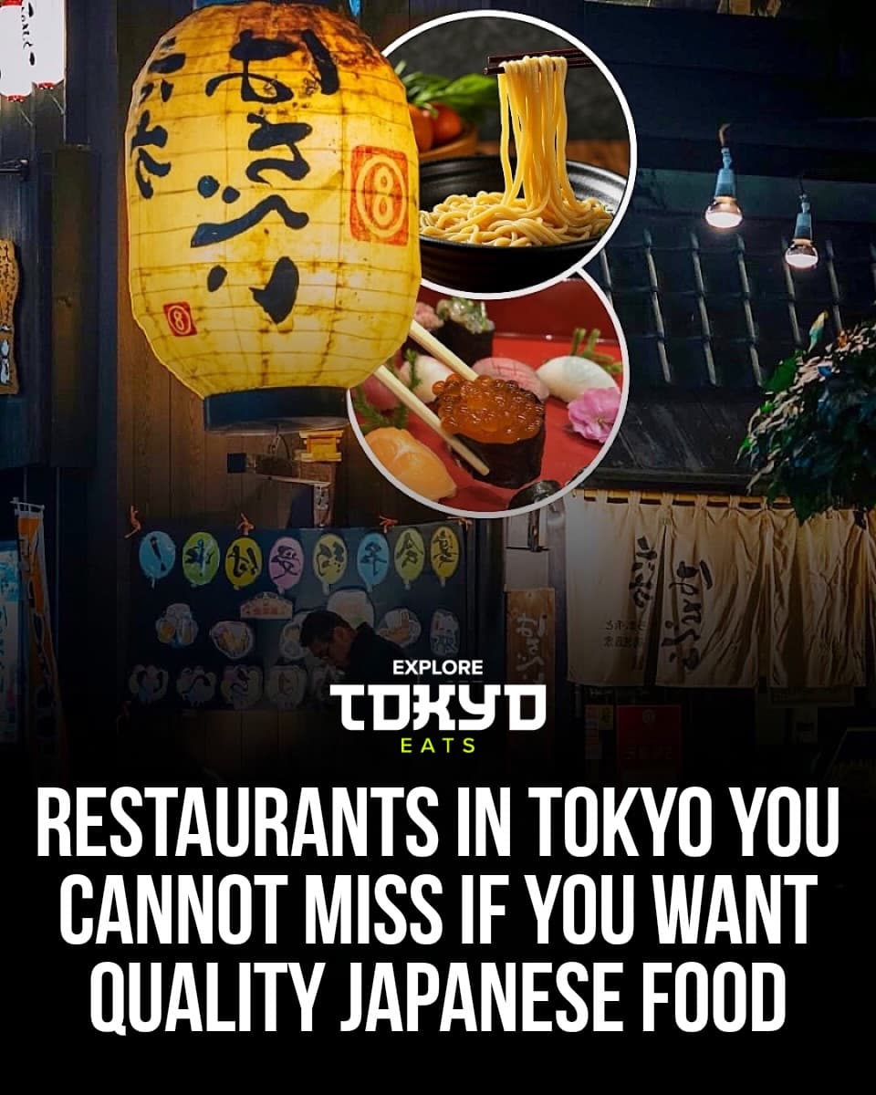 Tokyo's Best Spots For Authentic Japanese Food