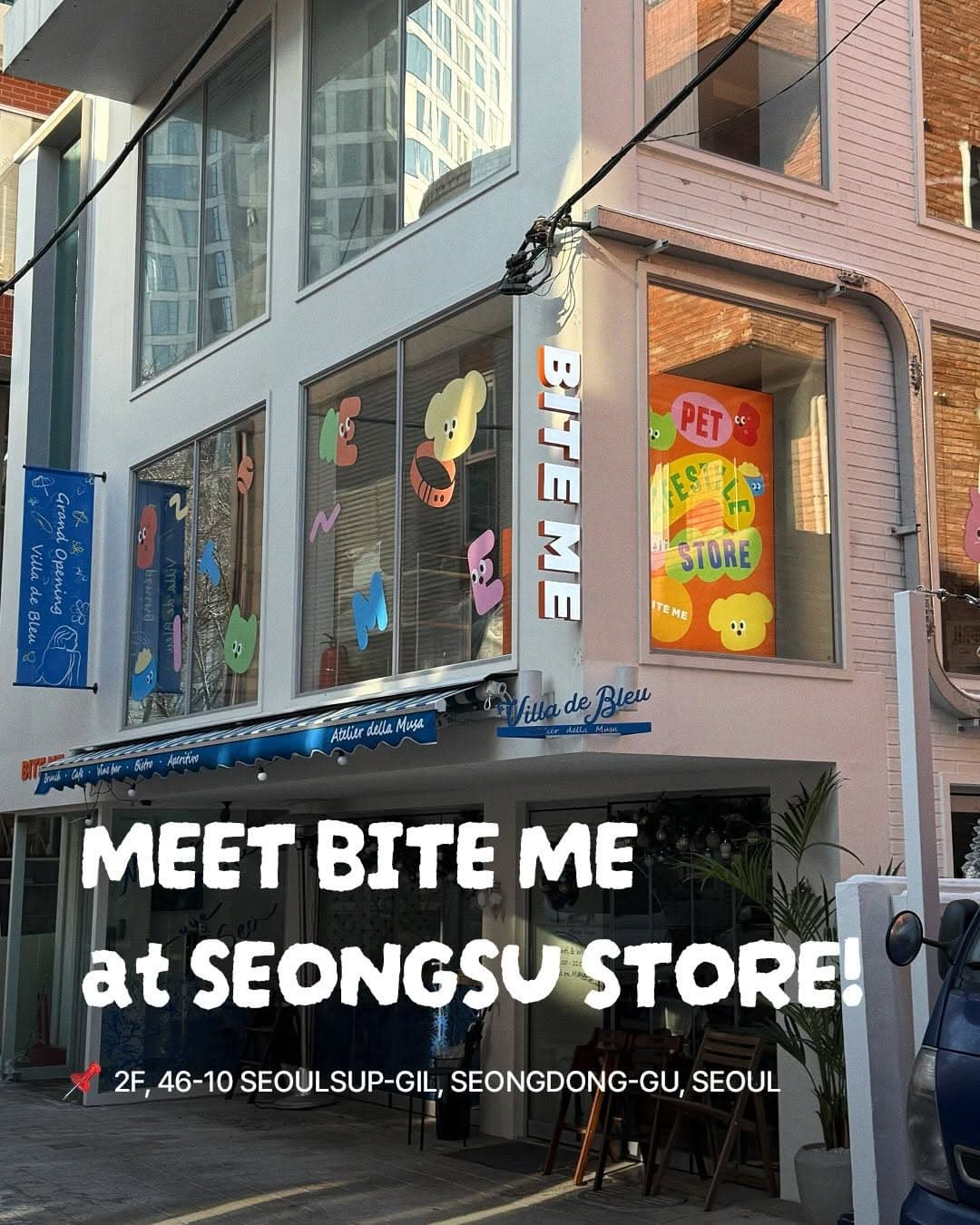 Seongsu's Pet Paradise: Toys, Apparel, and More