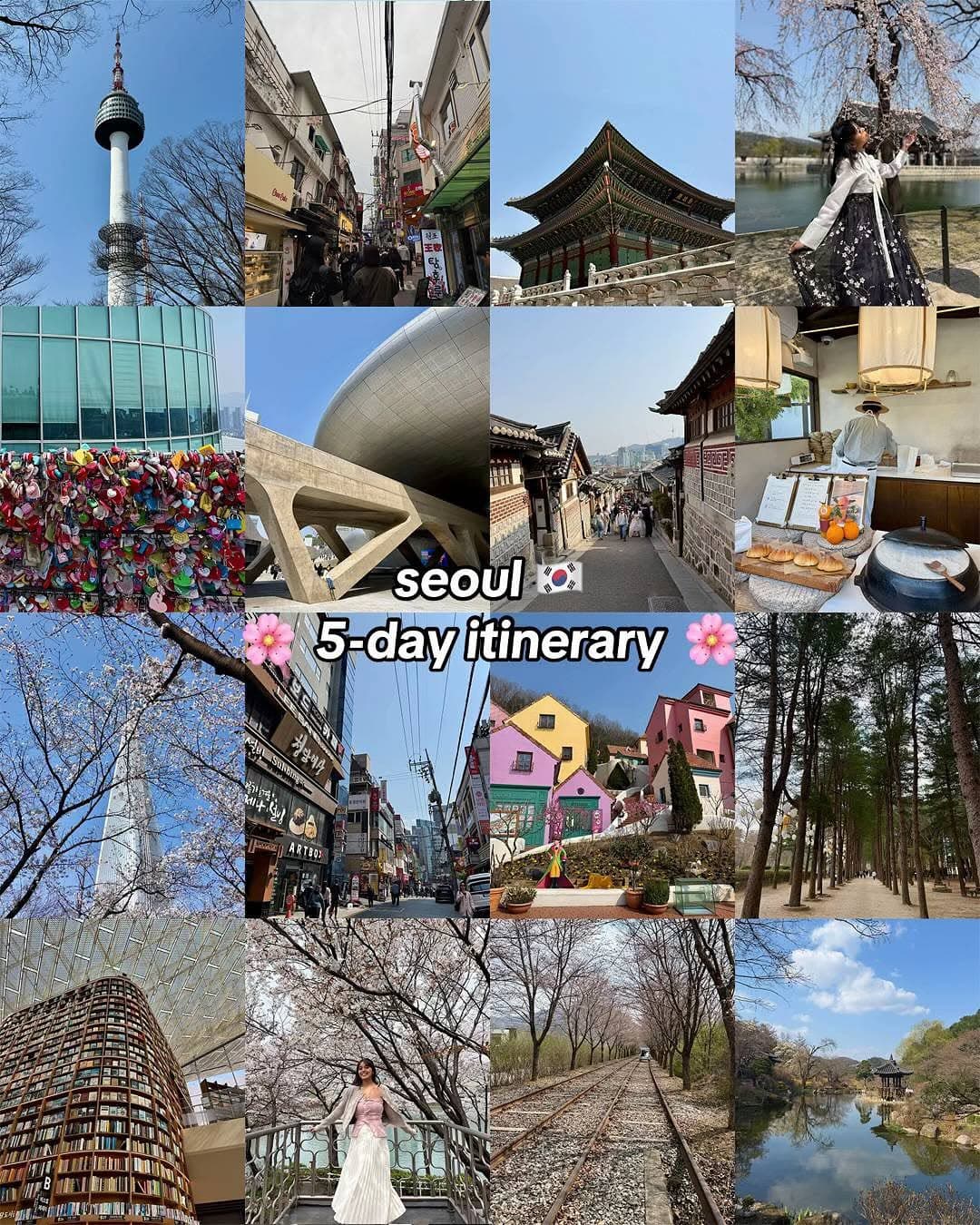 Seoul's Top Attractions and Hidden Gems