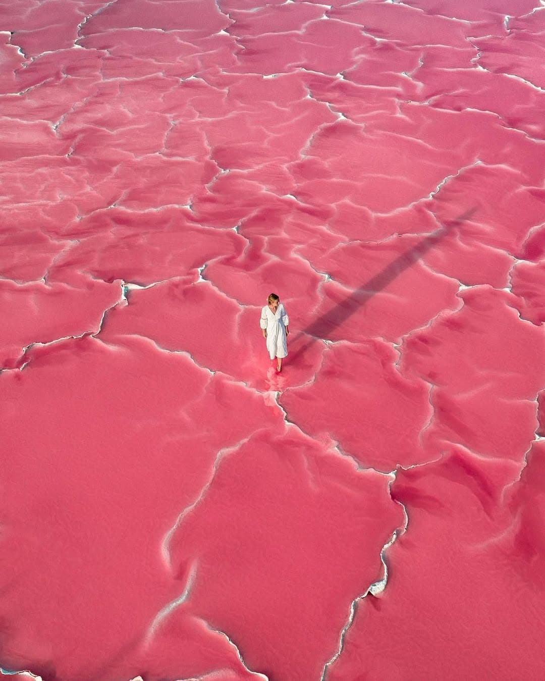 Pink Lakes: Aix-en-Provence and Salin-de-Giraud