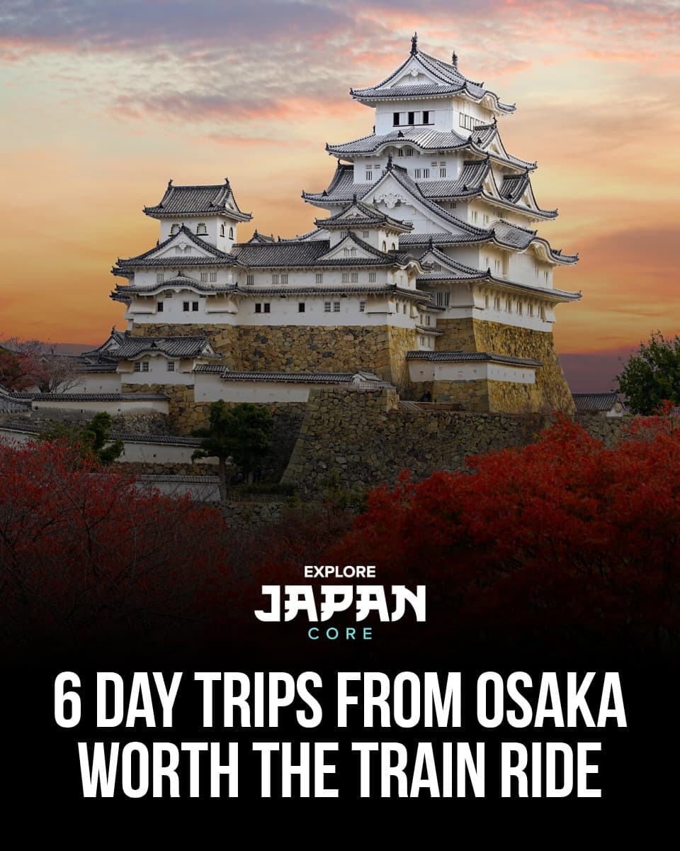 Day Trips From Osaka: Kyoto, Nara, Kobe, and More