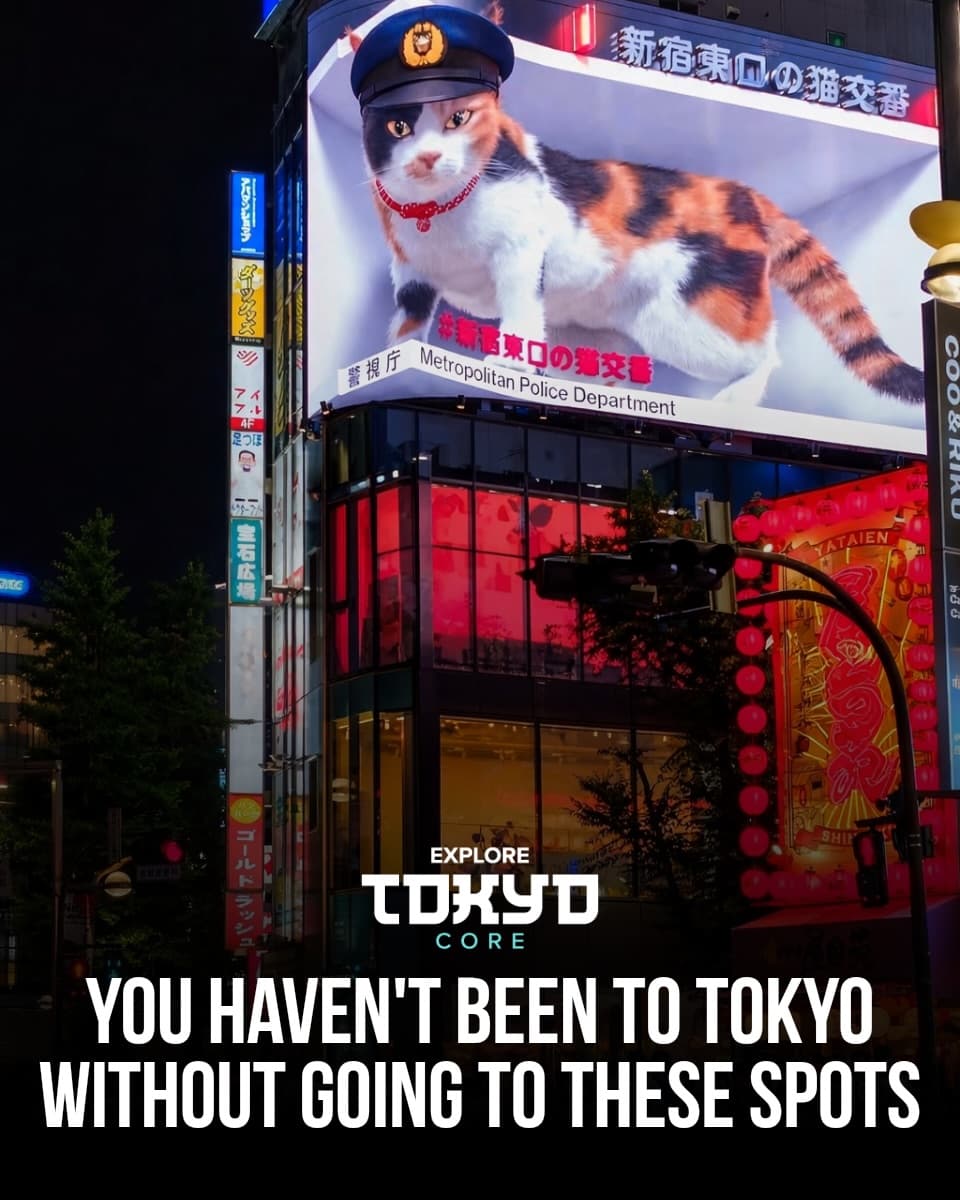 Must-See Tokyo Spots For Your Next Trip