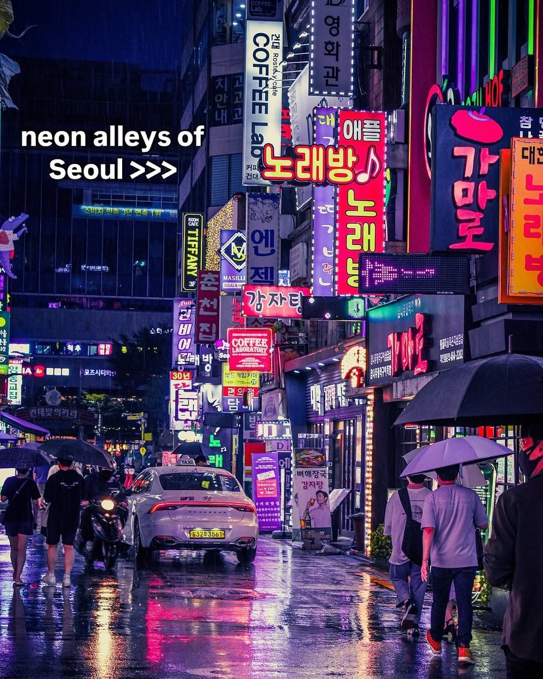 Best Nighttime Attractions and Activities in Seoul