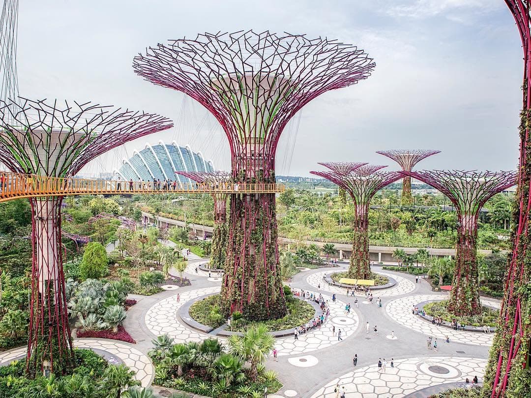 Supertree Grove's Vertical Gardens in Singapore