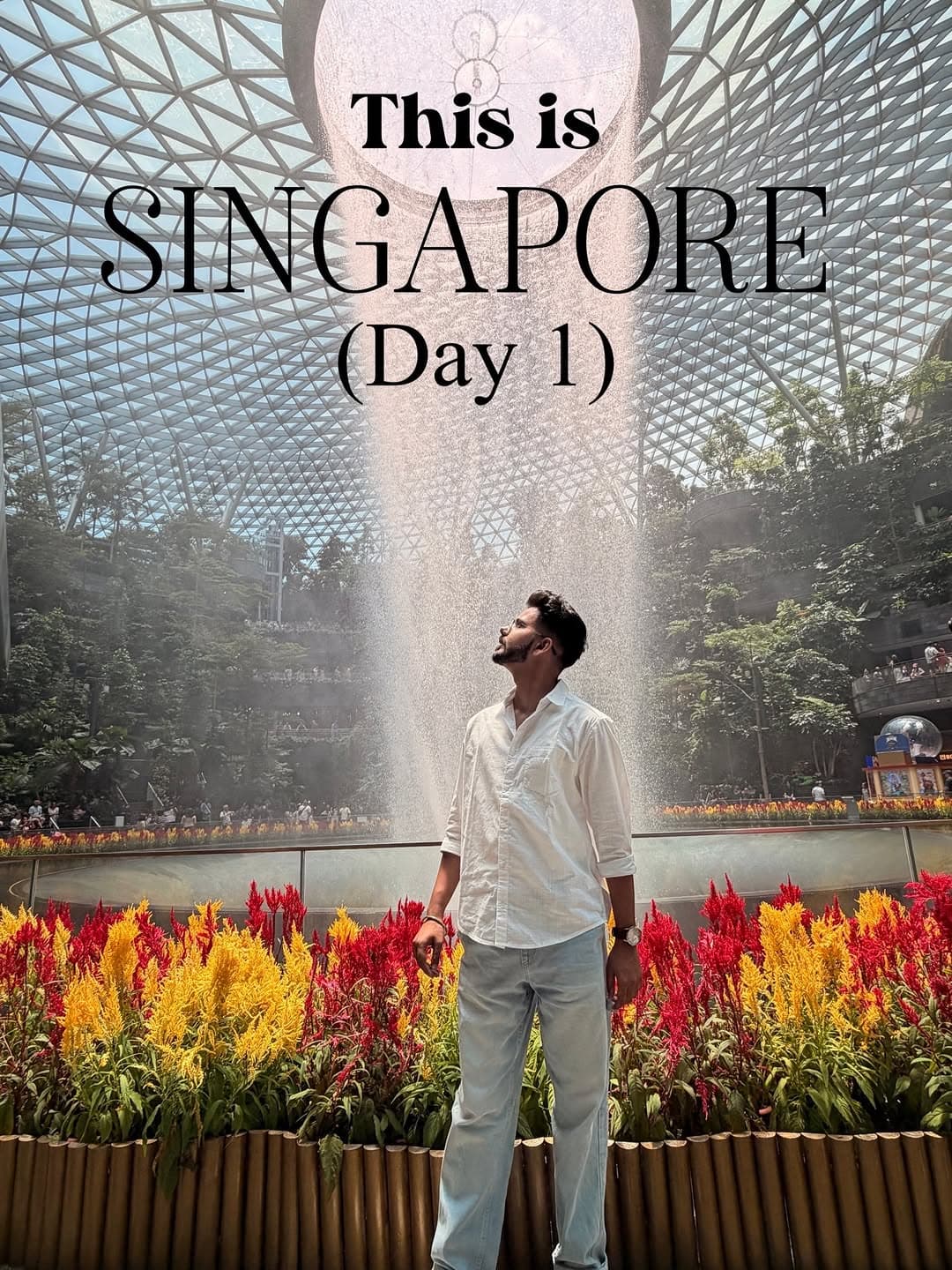 Singapore Attractions: Merlion Park to Supertree Grove