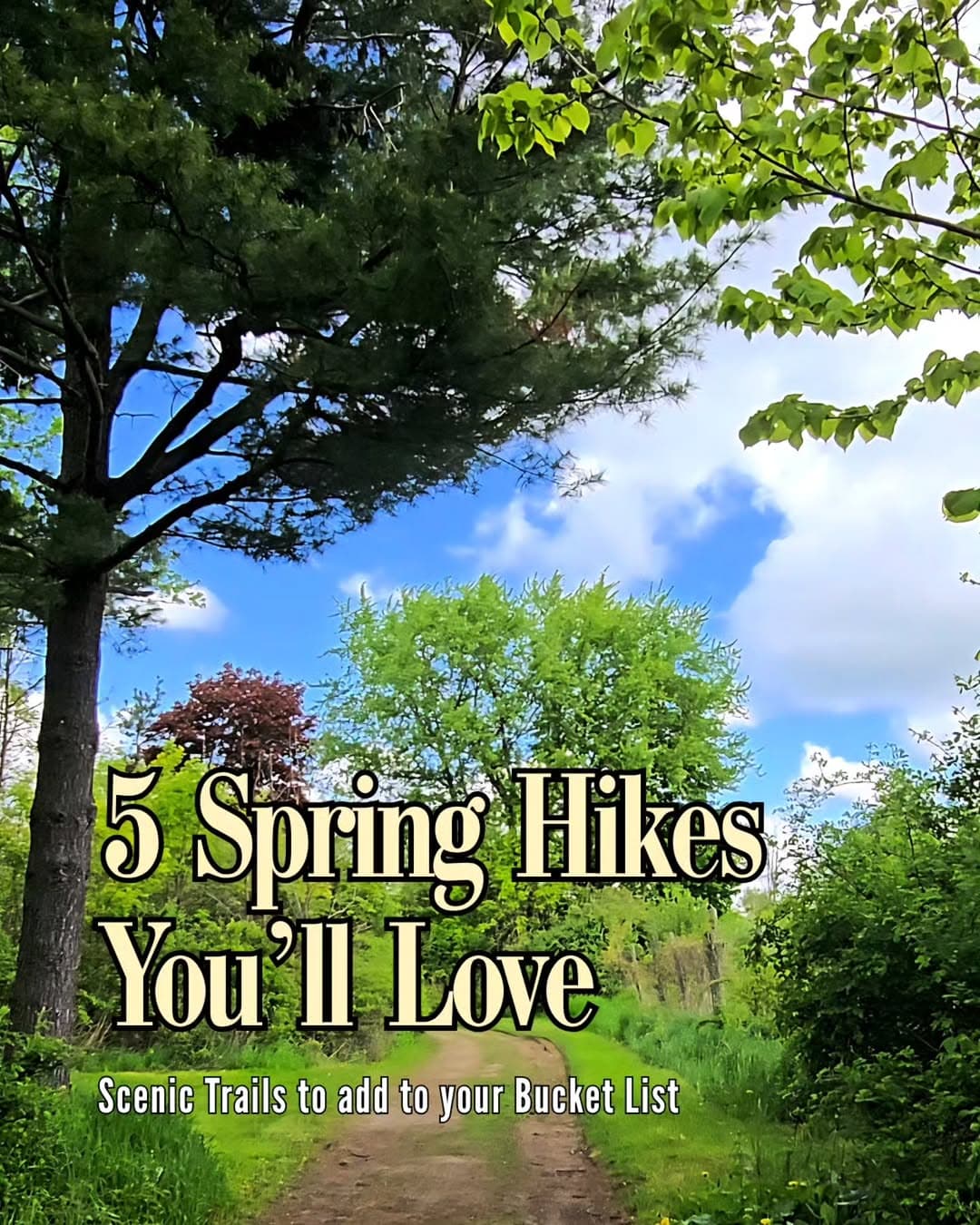 Ontario's Top 5 Spring Hiking Destinations