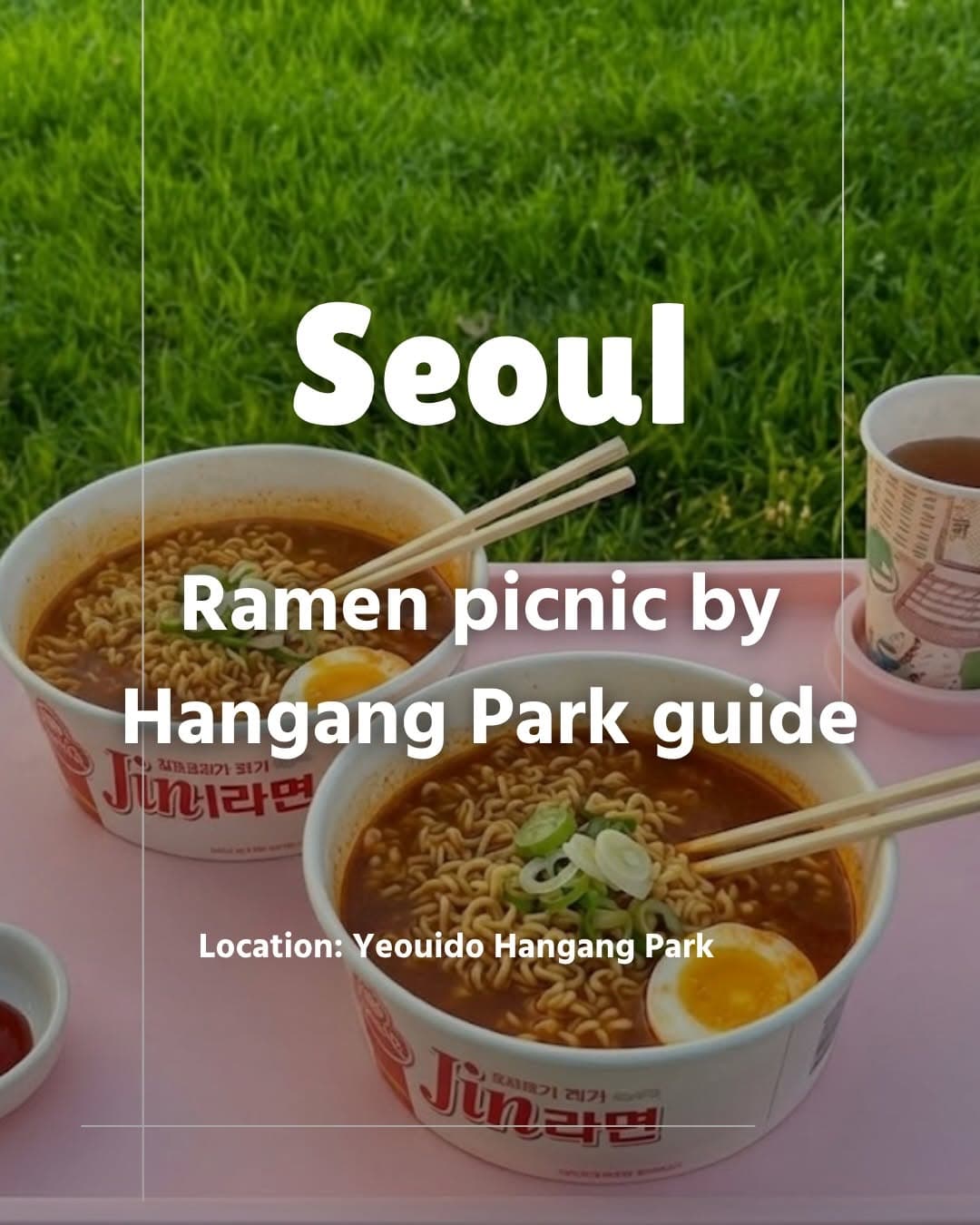 Seoul Attractions For A Han River Picnic
