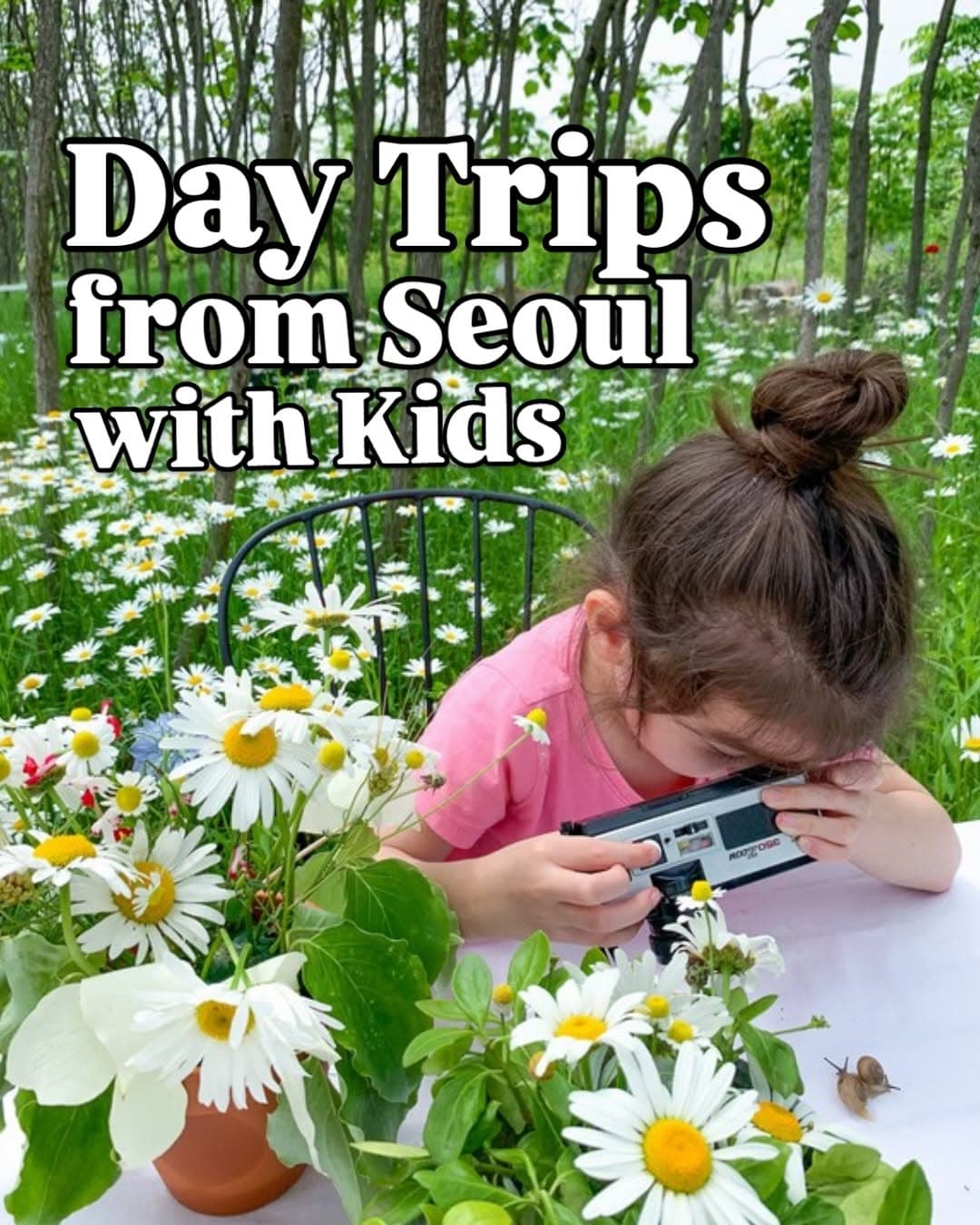 Kid-Friendly Day Trips From Seoul