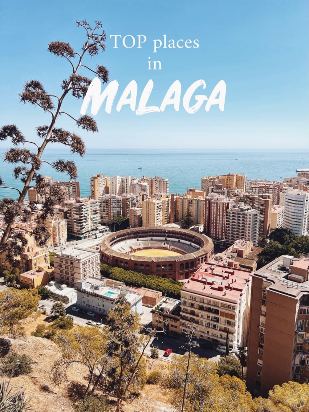 Málaga's Top Attractions and Landmarks
