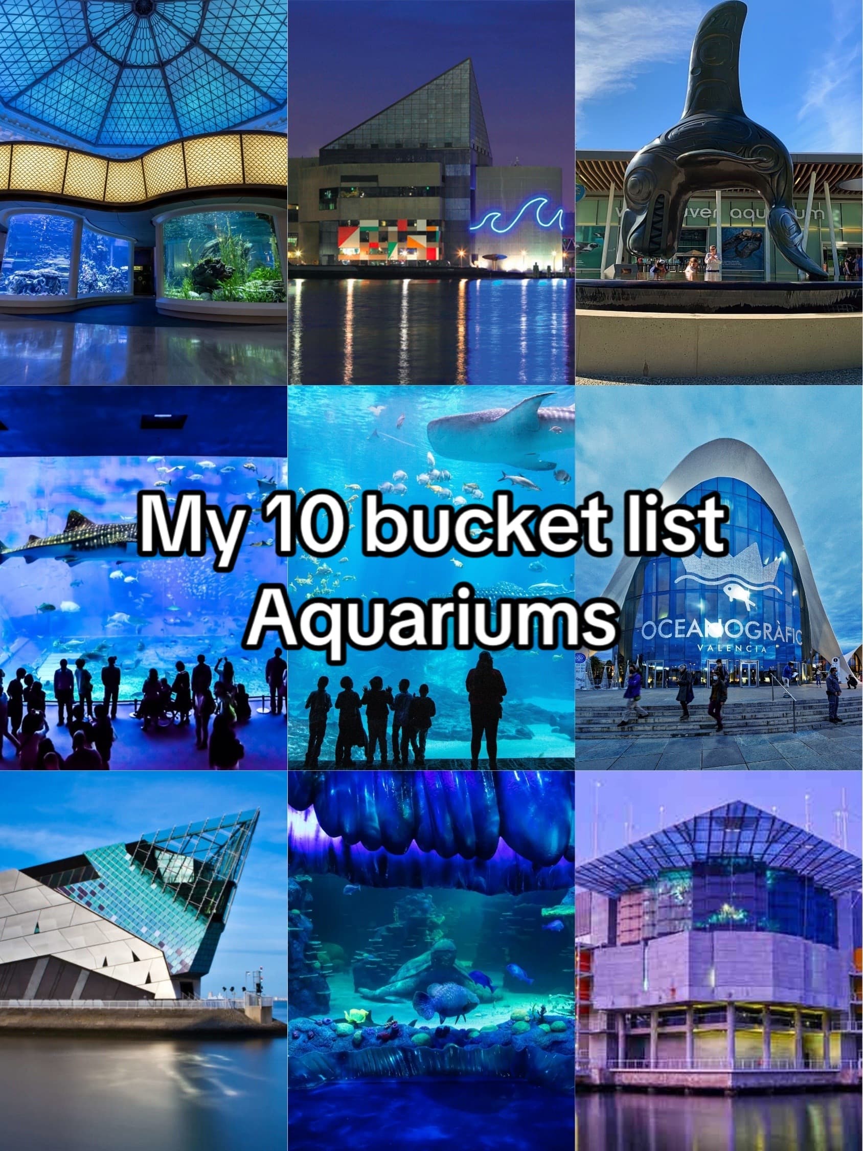Top Aquariums Around The World