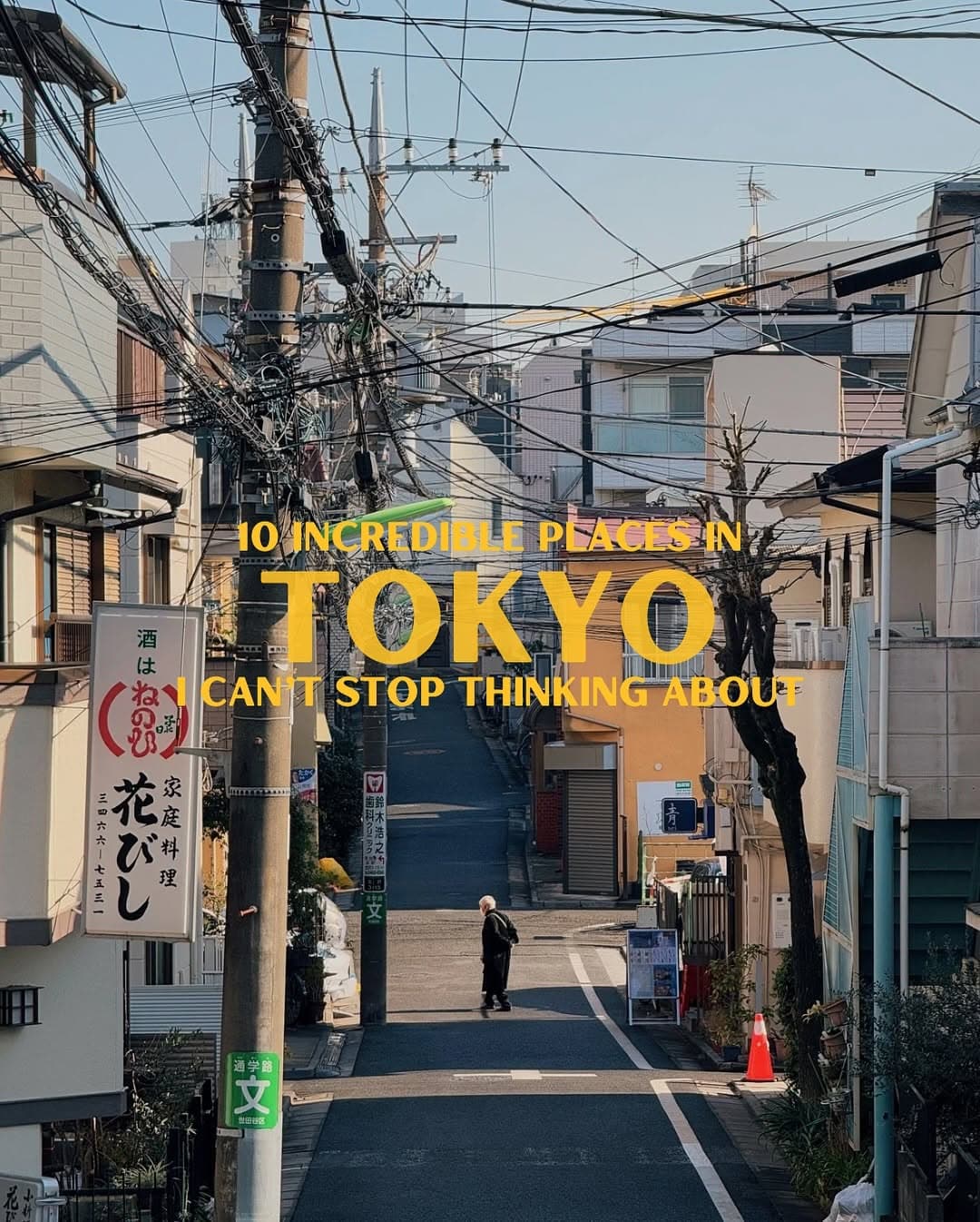 Tokyo's Aesthetic Neighborhoods, Cafes, and Landmarks