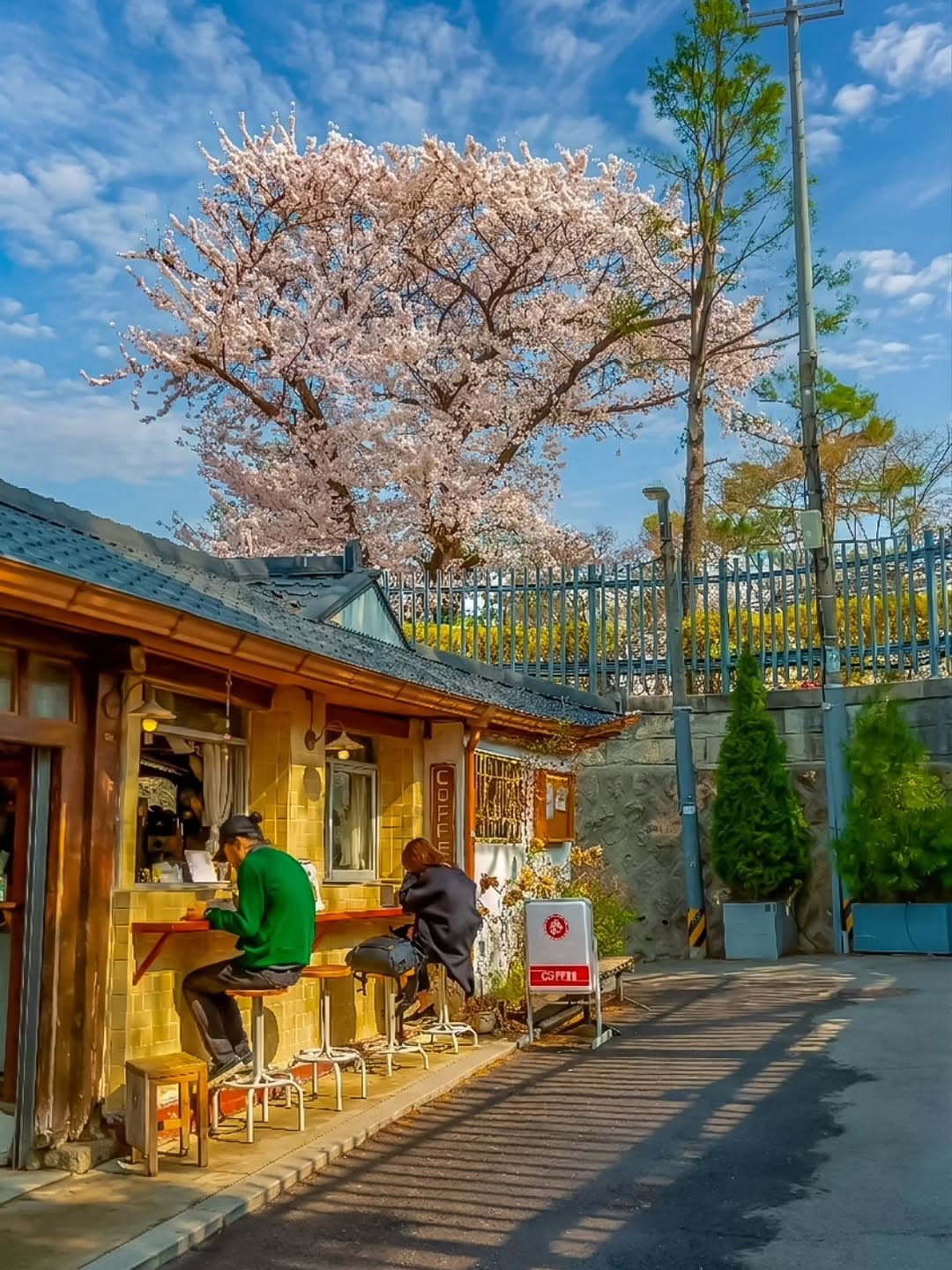 Seoul Spring: Hanok Village, Library, and Coffee