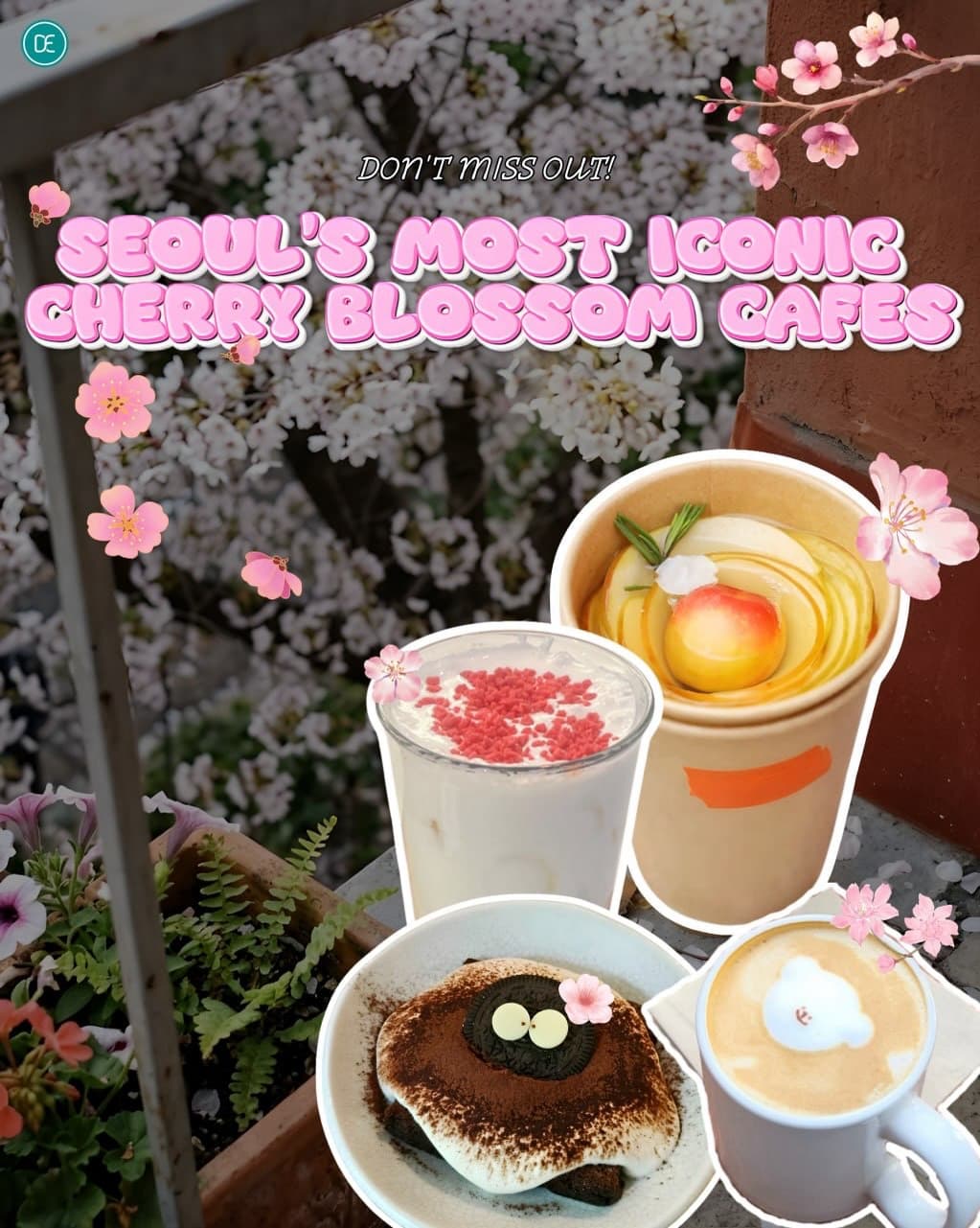 Secret Seoul Cherry Blossom Cafes for 2026